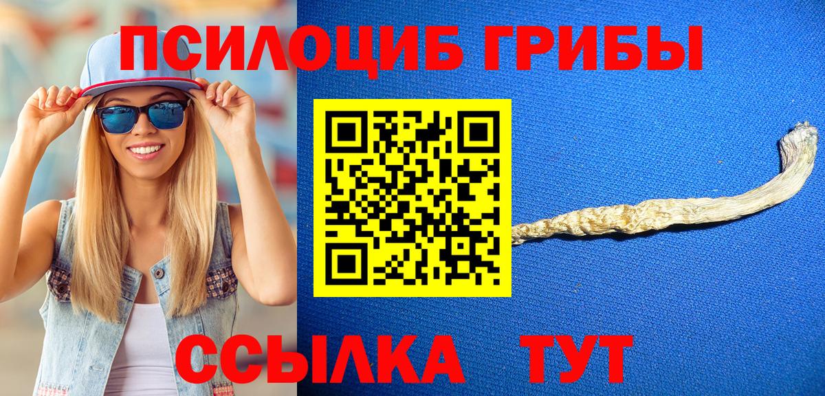 Галлюциногенные грибы прущие грибы Усть-Лабинск